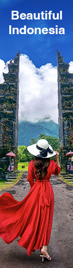 Banner of PATA - Left Side